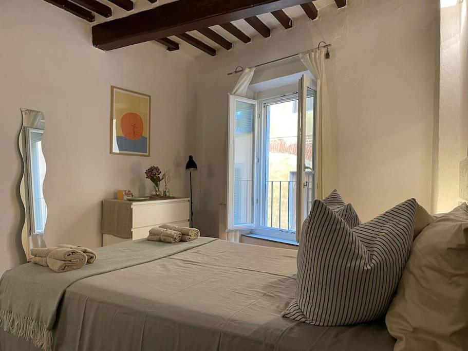 Casa Storica Nel Cuore Di Pisa - Lungarno 外观 照片