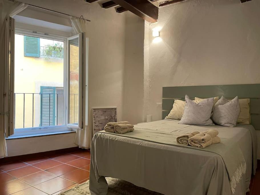 Casa Storica Nel Cuore Di Pisa - Lungarno 外观 照片